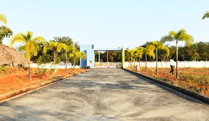 Green Marino – Bheemili