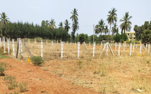 Viman Nagar Bhogapuram