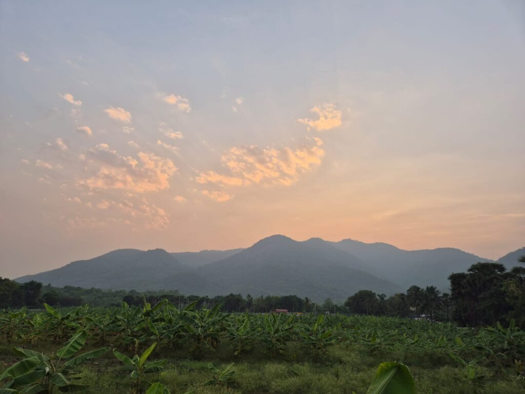 Green vanam